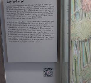 Staatliches Naturkunde Museum