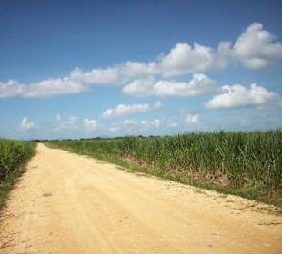 Truck Safari - Zuckerrohrfelder