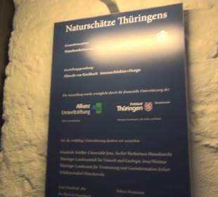 Naturkundemuseum 