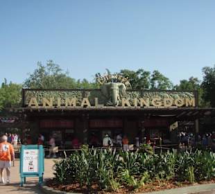 Eingang des Animal Kingdom
