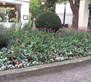 Altstadt Bad Reichenhall