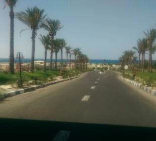 Blick zu Giftun Island