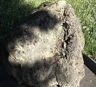 Geologischer Lehrgarten