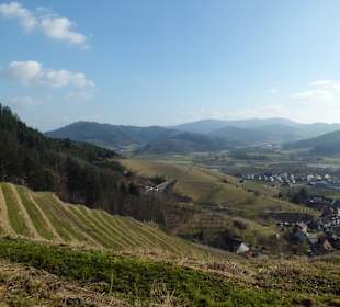 Oberkirch Weinwanderung Panorama