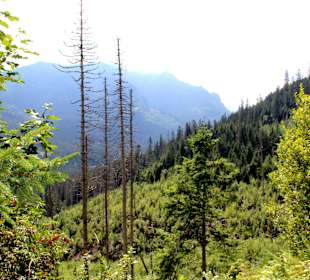  Weg- Meeresauge Zakopane. 