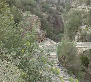 Ausflug"Amarok de Luxe"