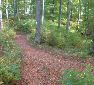 Sonnenfels Sankt Johann