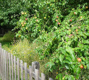Eindrücke vom Rundgang durch den Park der Gärten