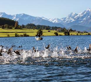 Wandern San Valentino alla Muta / St. Valentin auf der Haide