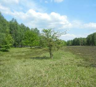 Naturschutzgebiet Boberger Niederung