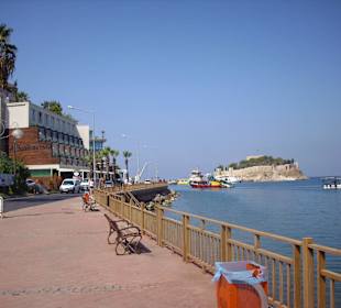 Widok na wyspę ptaków