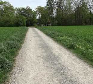 Walderlebnisweg Rottenburg