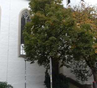 Pfarrkirche St. Johannes Baptist