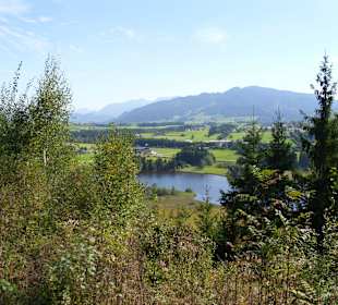 Schwarzenberger Weiher