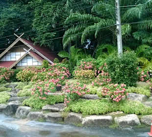 Park Nong Nooch Village and Tropical Garden