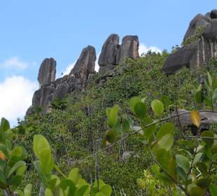 Wanderweg auf der Insel Curieuse, Seychellen