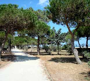 Strandpromenade von Argelés-Plage
