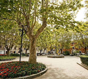 Wandern Desenzano del Garda