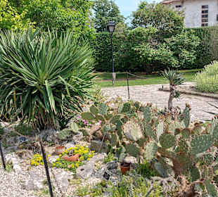 Umgebung + Botanischer Garten Baltschik + Schloss