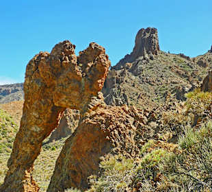 Der Schuh der Königin