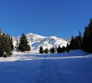 Wandern Surses