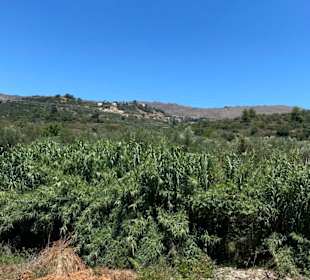 Wandern Georgioupolis