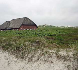 Süddorfer Strandhäuschen
