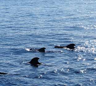 30min mit dem Boot entfernt