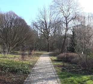 Botanischer Garten - Rombergpark