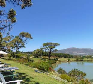 Cape Point Vineyards in Noordhoek