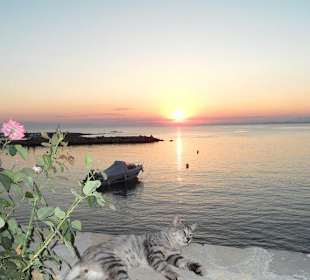 Sich einfach fallen lassen und träumen