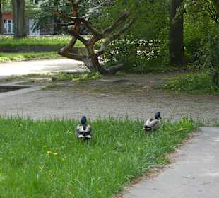 Altstadt Hamburg - Bergedorf Park