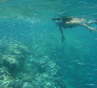 Schnorcheln in Hurghada