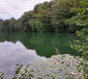 Rensinger See in Kellinghusen