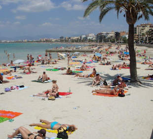 El Arenal (vor Hotel San Diego)