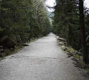 Berg Schneekoppe/Śnieżka