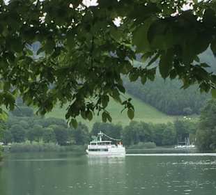 Hennesee