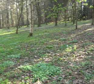 Wanderung Florianrunde