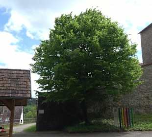 Burgruine Hohendießen Dießen