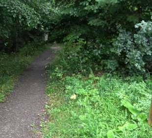 FriedWald Schönbuch