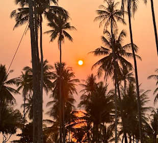 Blick von der Terrasse
