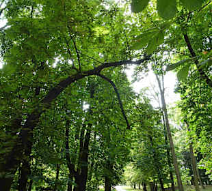 Museum und Park von Jan Kochanowski