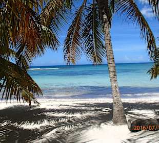 Einsamer Strand auf Saona