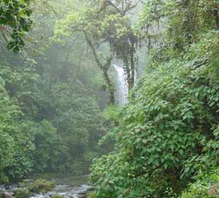 La Paz Waterfall Gardens