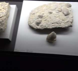 Jura-Museum
