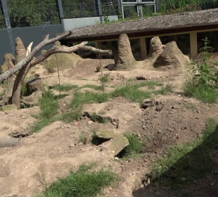 Zoo Heidelberg