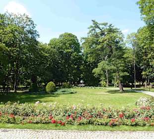 Museum und Park von Jan Kochanowski