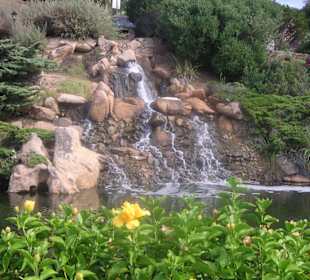 Giardini di Porto Cervo