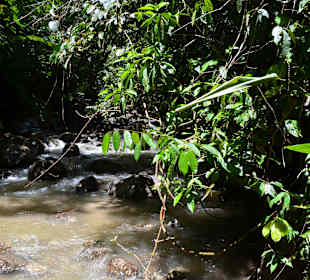 Fluss zum überqueren
