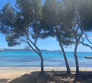 Strand Paguera/Peguera